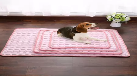 The Best Pet Cooling Pad for Summer 2025: Ice Silk Cold Nest Pad for Dogs & Cats